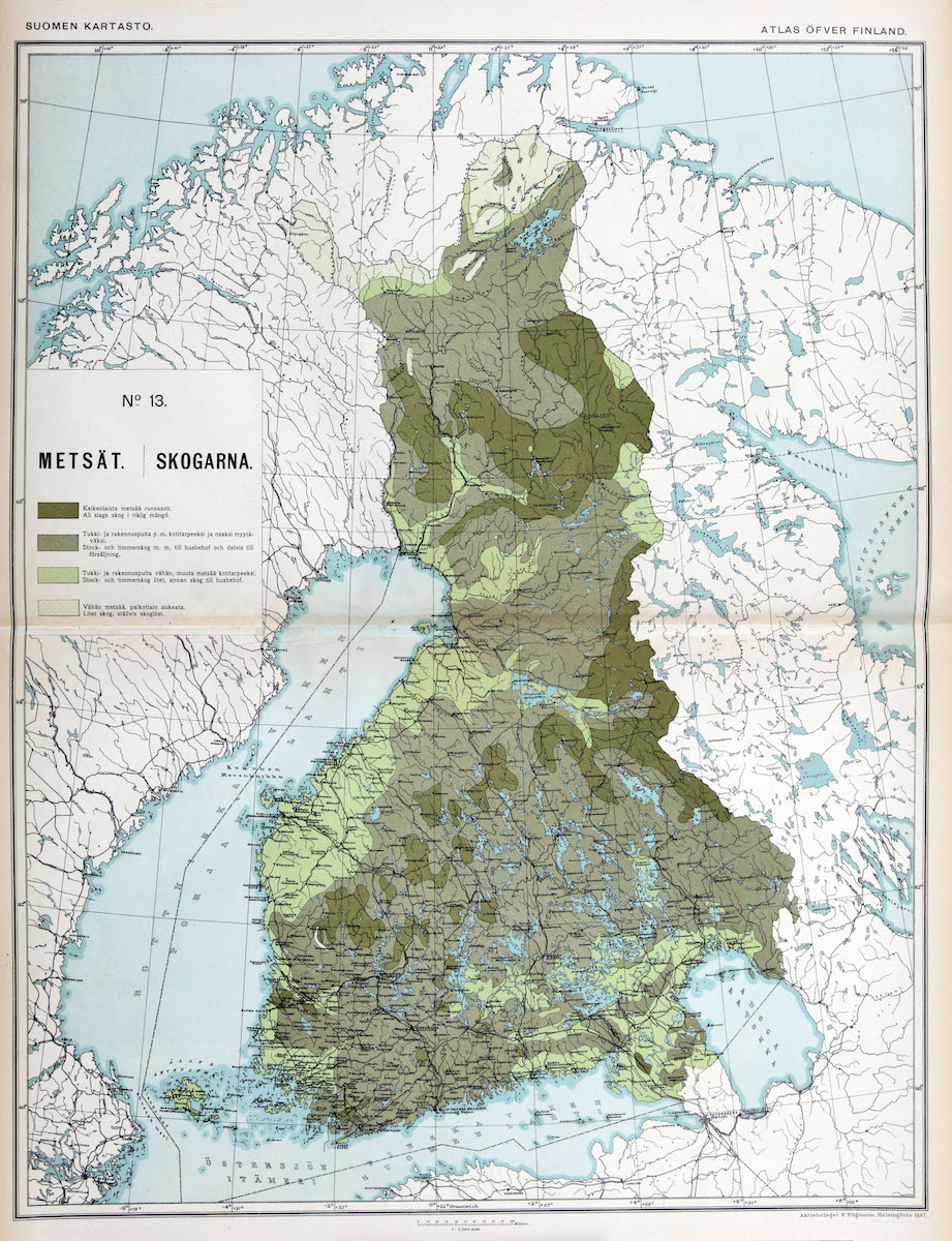 Onko Suomessa metsää enemmän kuin koskaan?