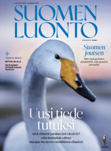 Suomen Luonto 9/2020 kansikuva