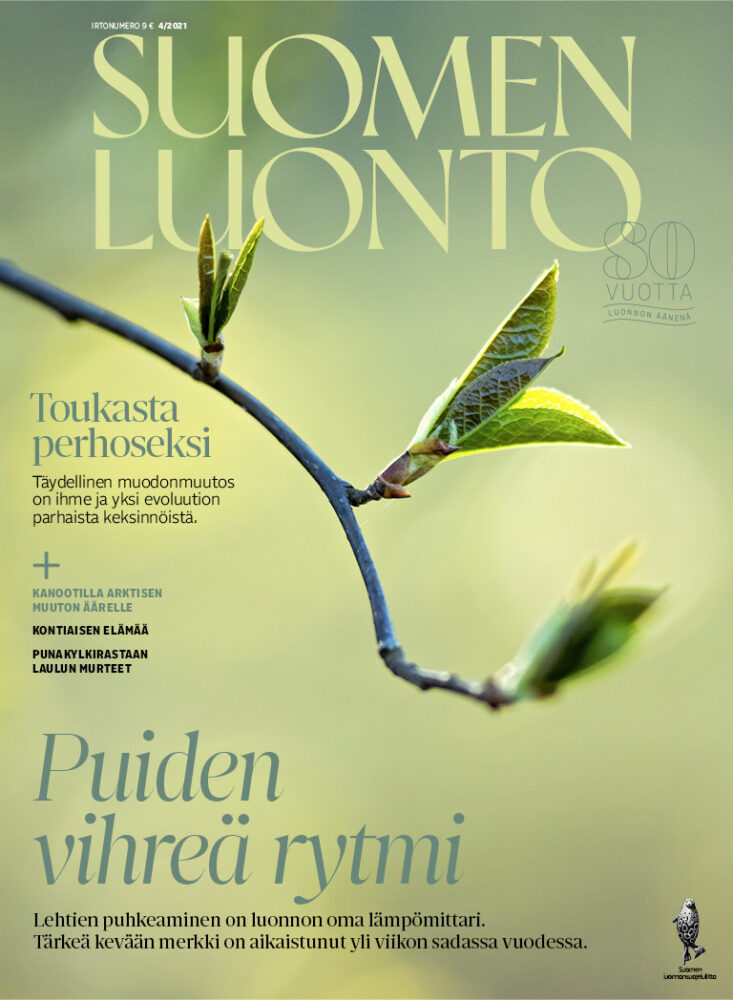 Suomen Luonto 4/2021