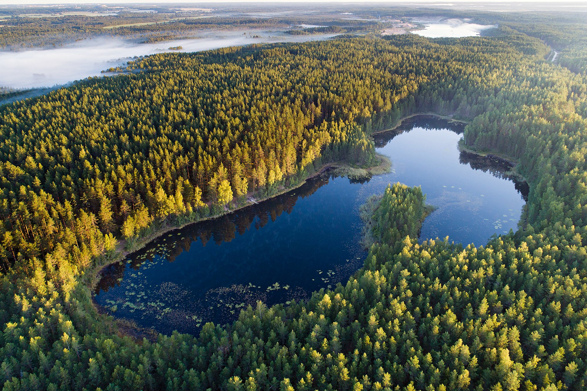 Suomen Luonto - Alutaguse
