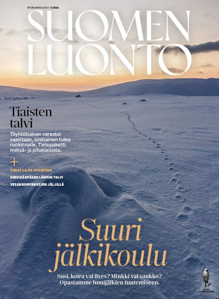 Suomen Luonto 1/2022