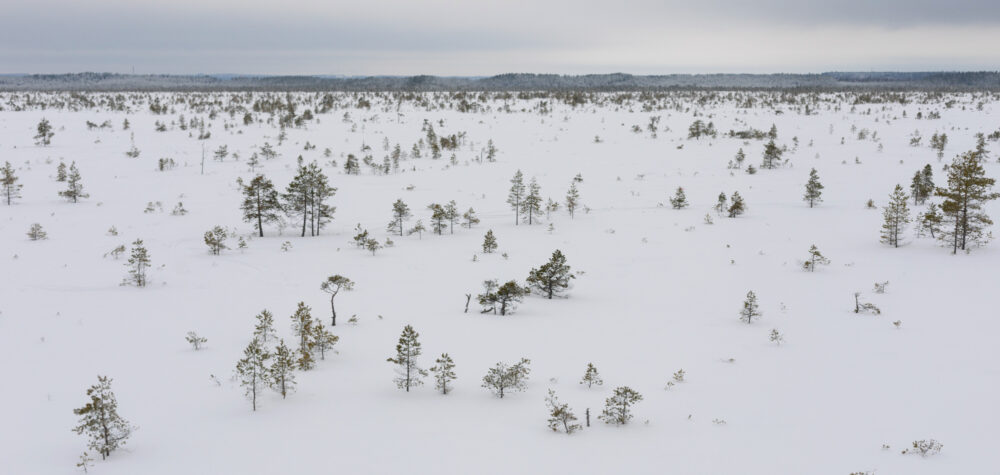 Seinäjoen Paukanevan lumisilla poluilla