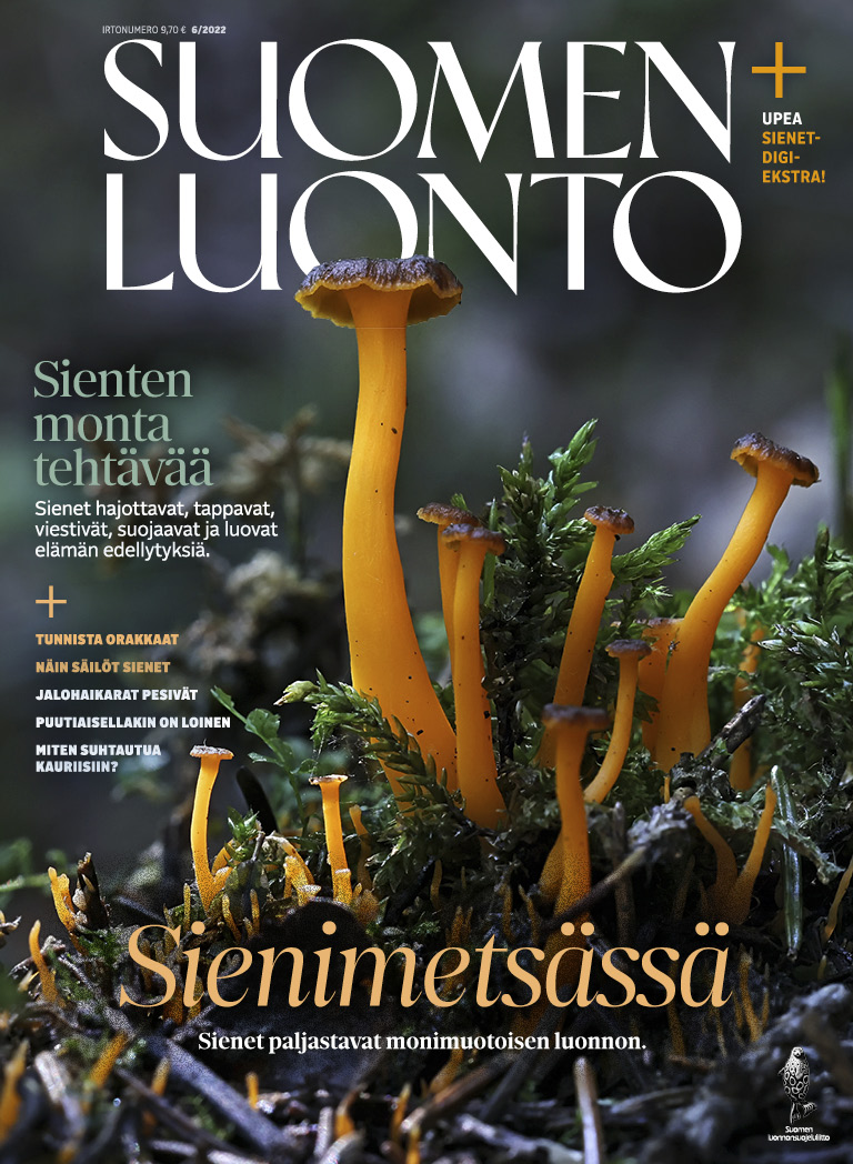 Suomen Luonto 6/2022