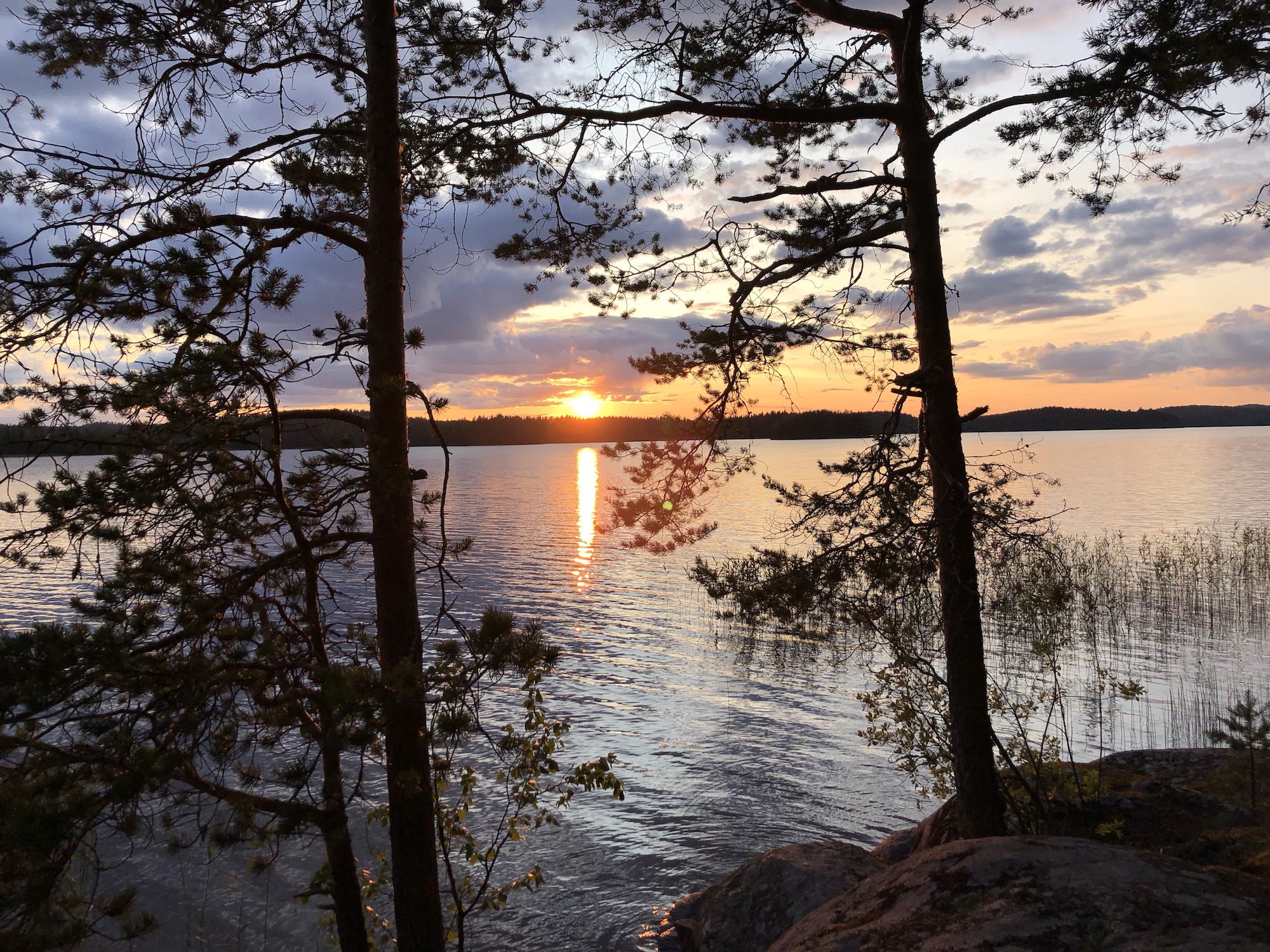 Suomen Luonto Jarviluonto