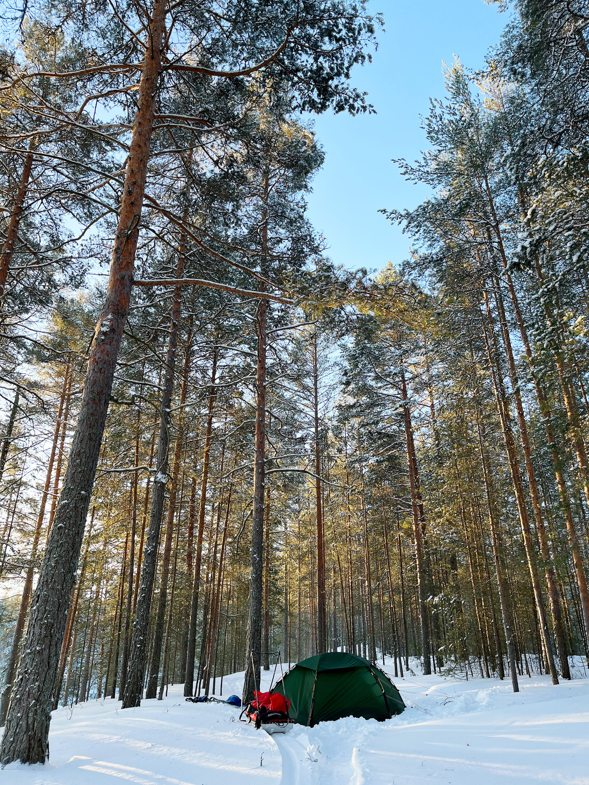 teltta lumisessa maisemassa