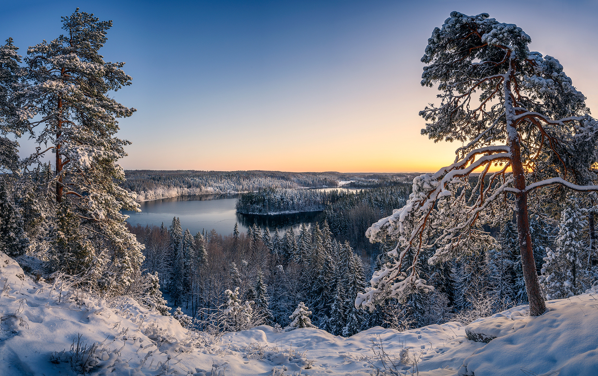 Suomen Luonto Virtuaaliluonto suomen-luonto-virtuaaliluonto