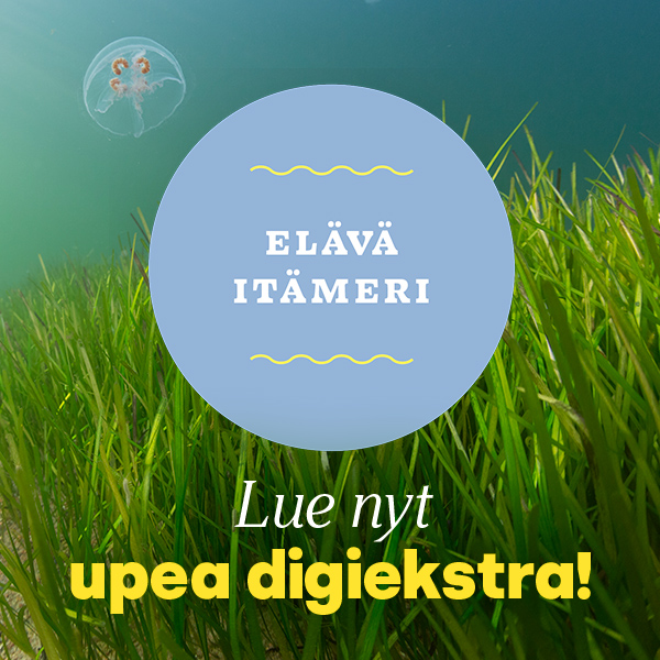 Tämä vedenalainen kuva on linkki Elävä Itämeri -digiekstraan.