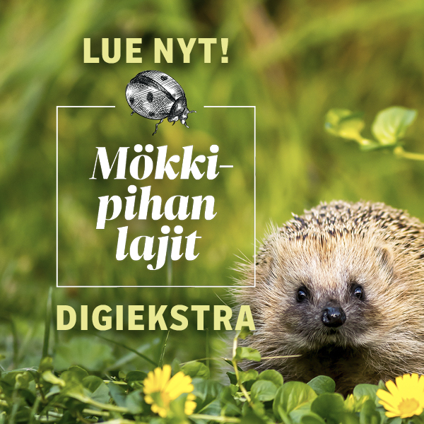 Mökkipihan lajit -digiekstra