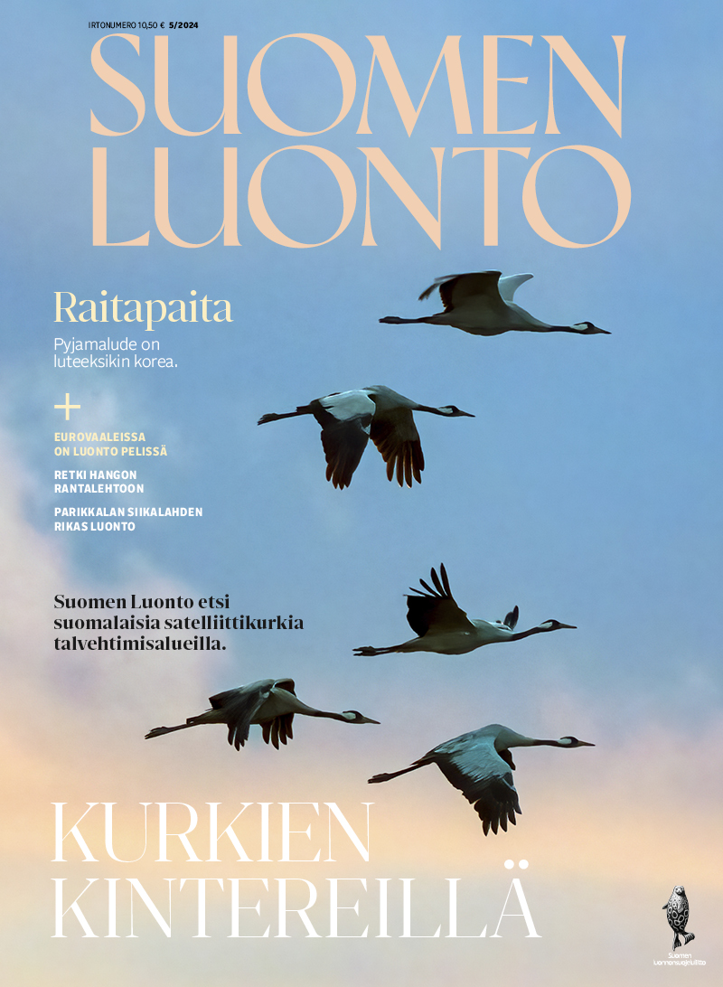 suomen-luonto-5-2024