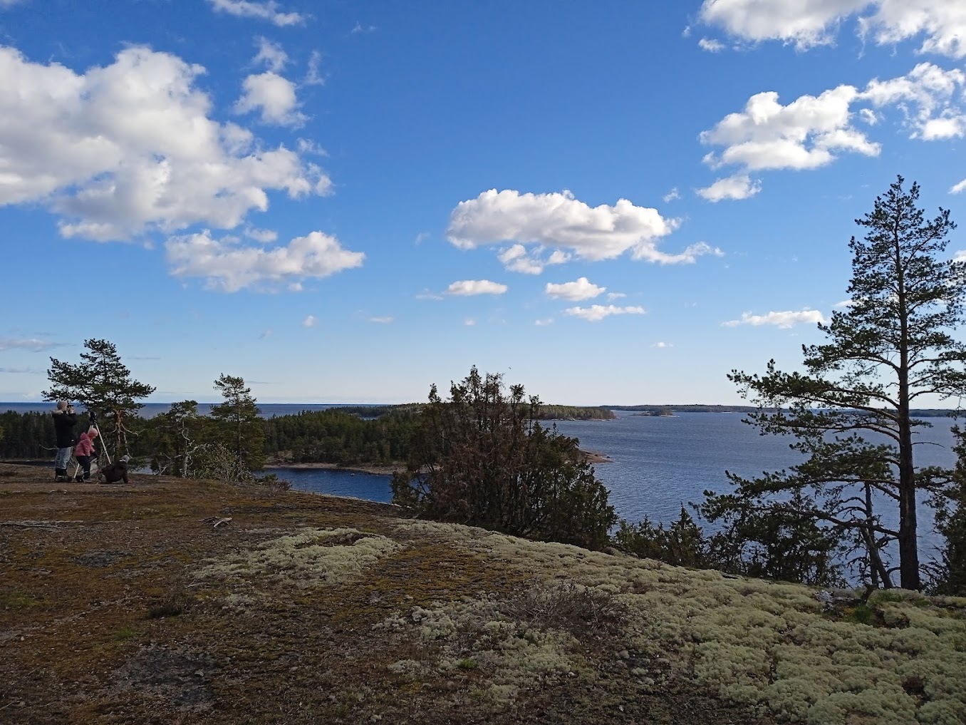 suomenluonto.fi