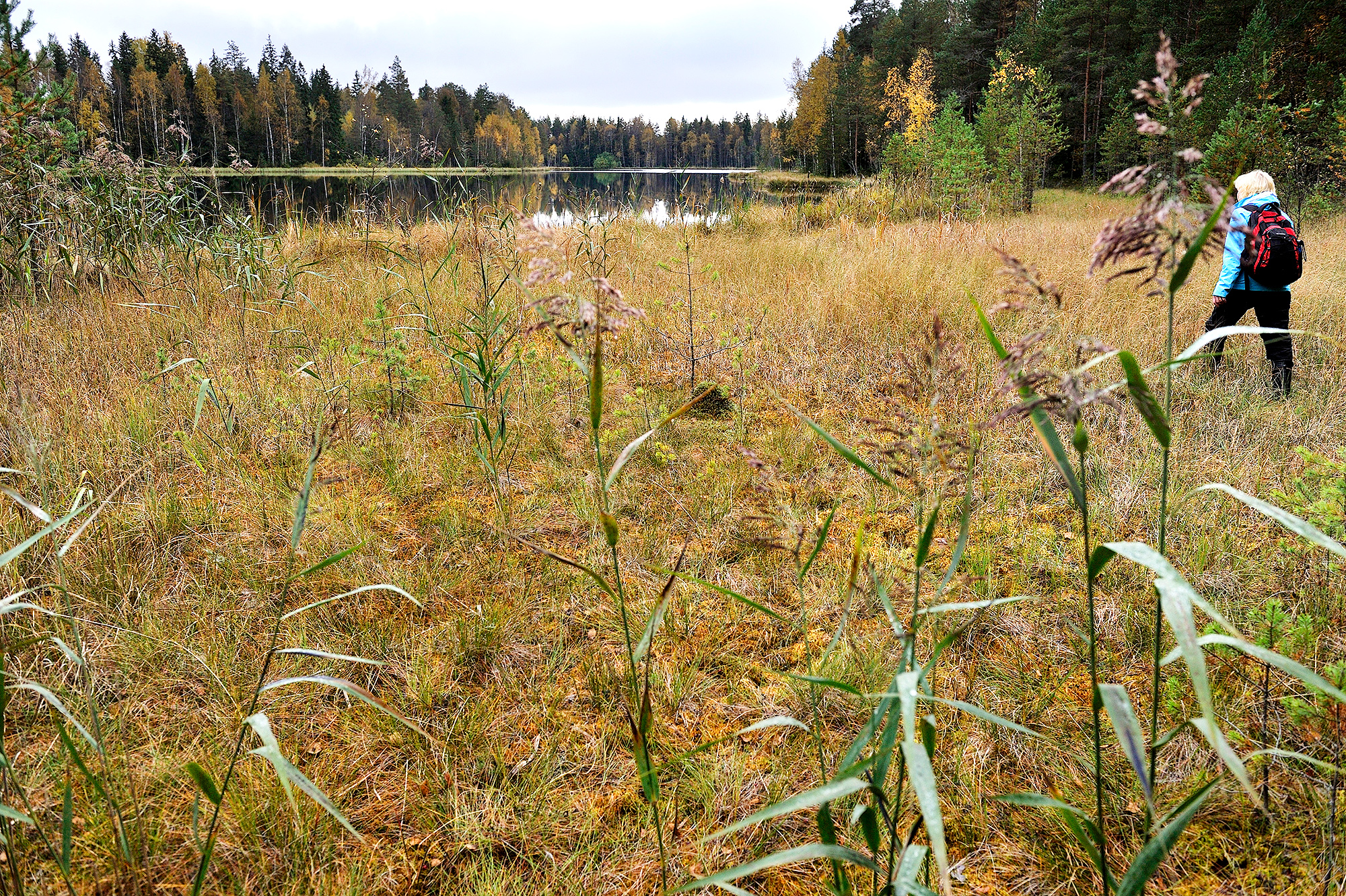 hauhon Jylhänsuon maisemaa