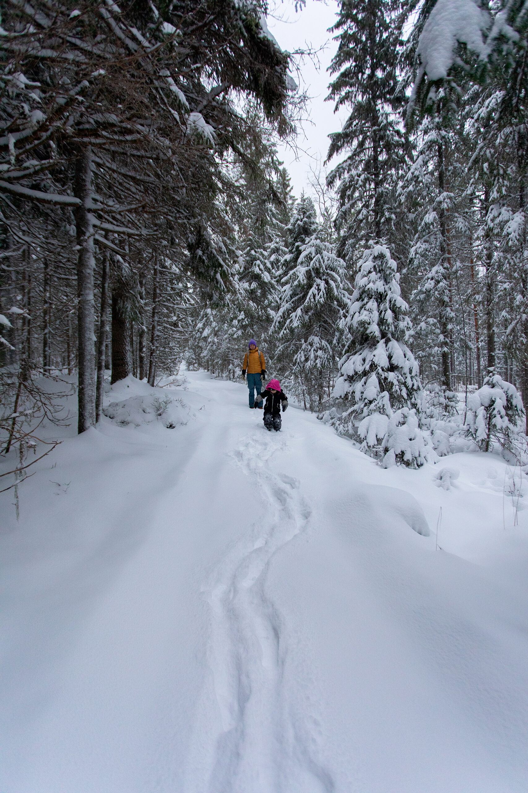 lapsen kanssa metsäretkellä