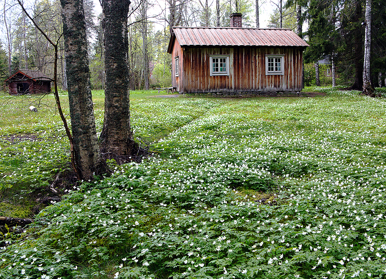 Aleksis Kiven kuolinmökki