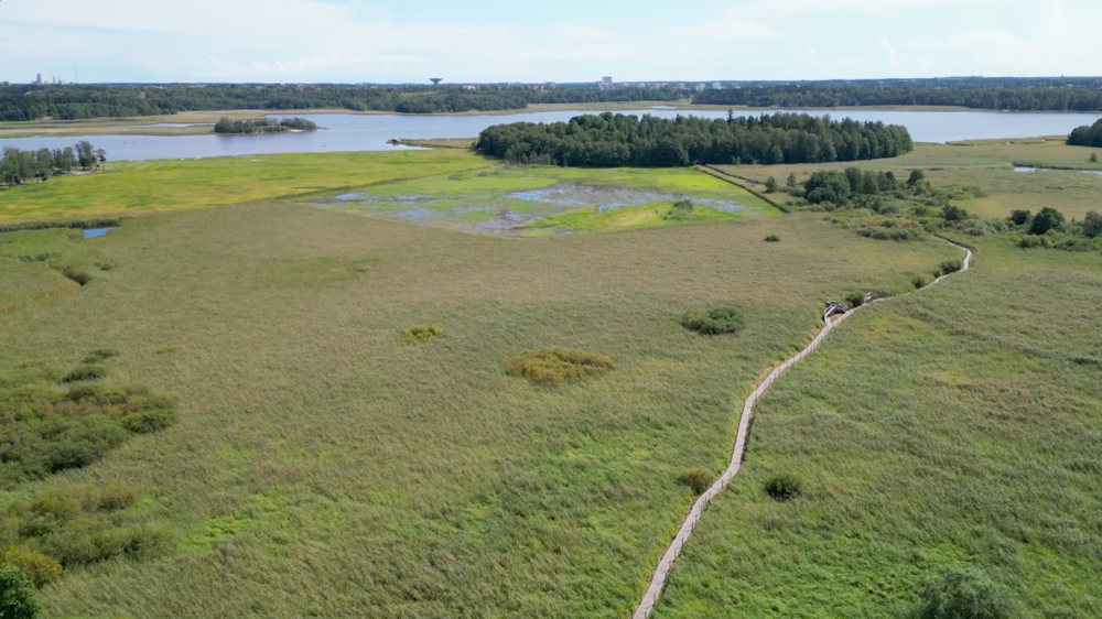 Näin Vanhankaupungin­lahdesta tuli pala Helsingin rikkainta luontoa