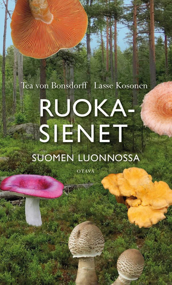  Helppo Ja Yksinkertainen Lukijat Vinkkaavat Parhaat Sienireseptins 