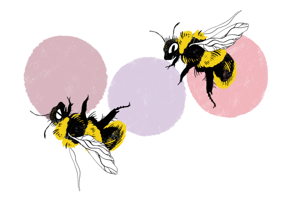 Piirroskuva kimalaisista muistitestissä. Kuvitus Anna Mur