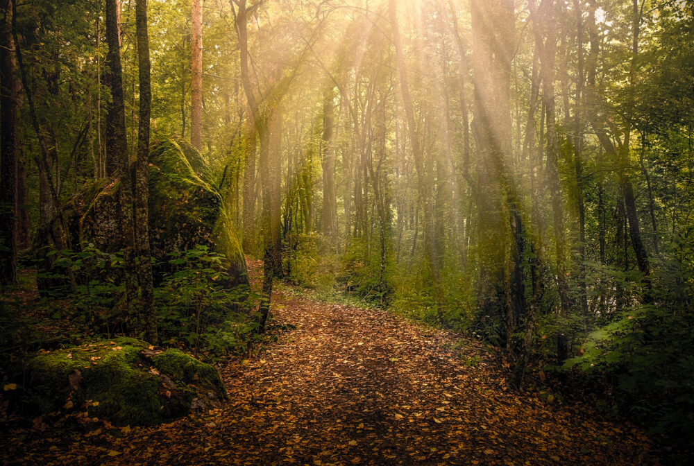 Tästä puhutaan: Mistä löytyy nyt toivon kipinöitä? Nämä asiat herättävät tutkijoissa toivoa