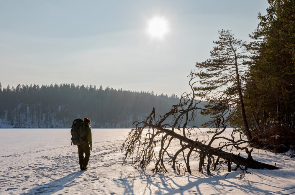 Vuokratuparetkeily sopii myös aloittelijalle – lähdimme talviretkelle Repoveden jylhiin maisemiin