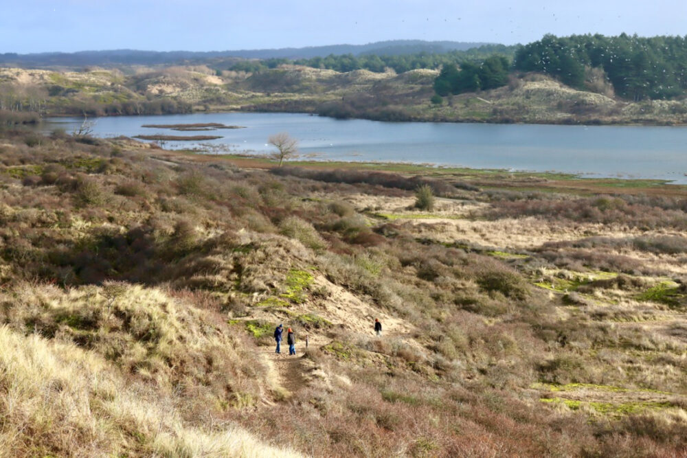 Eksoottinen dyynimaisema