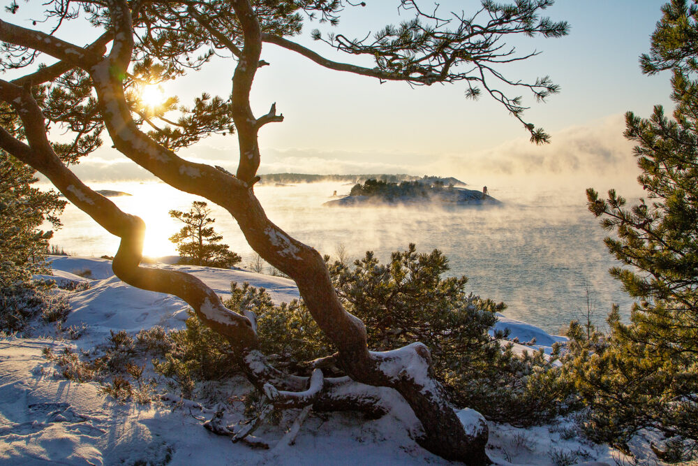 Porkkala oli kerran kansallispuiston arvoinen – onko se sitä nyt?