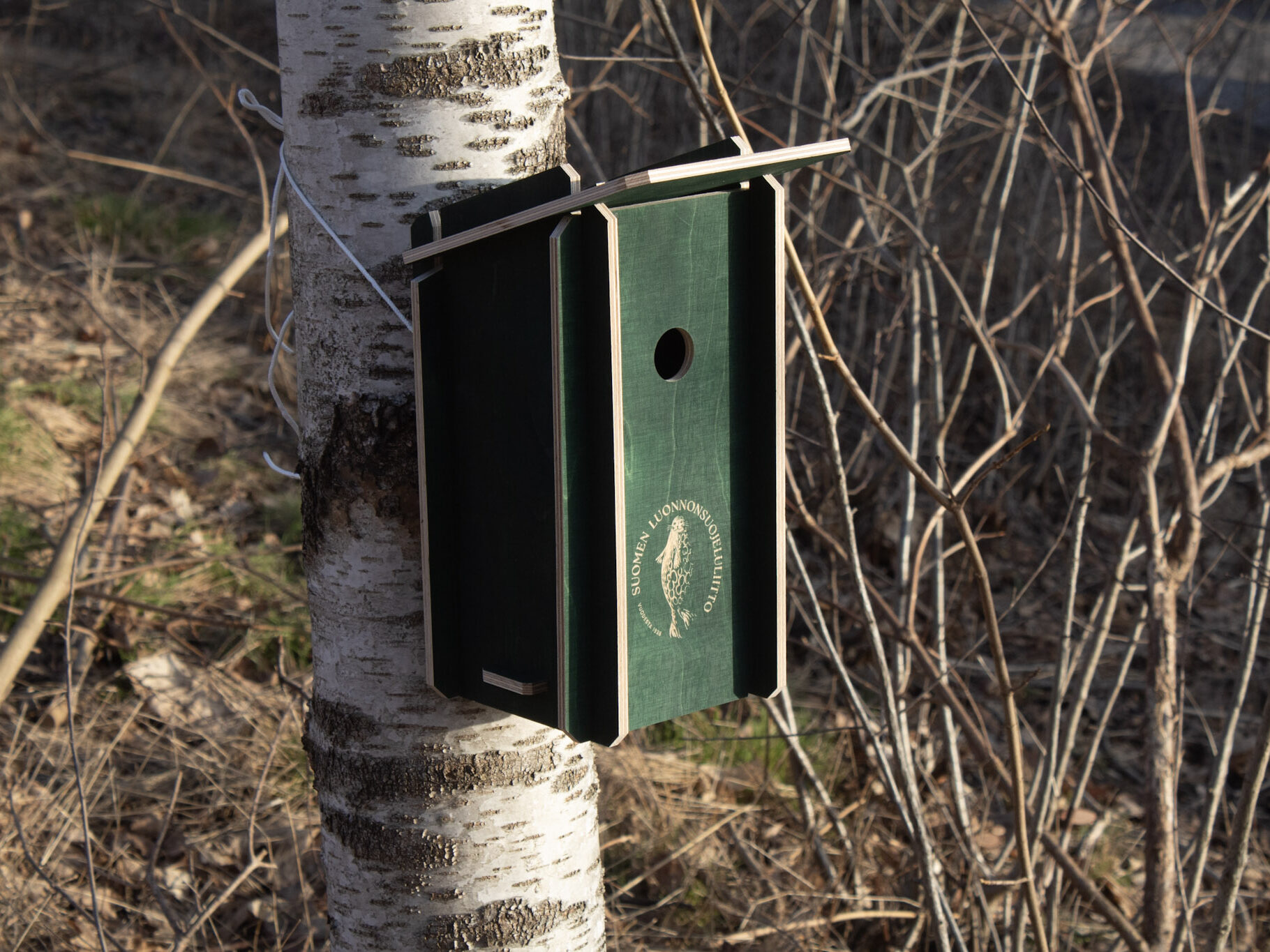 Kuvassa on Luontokaupassa myytävä koottava linnunpönttö kiinnitettynä koivun runkoon.