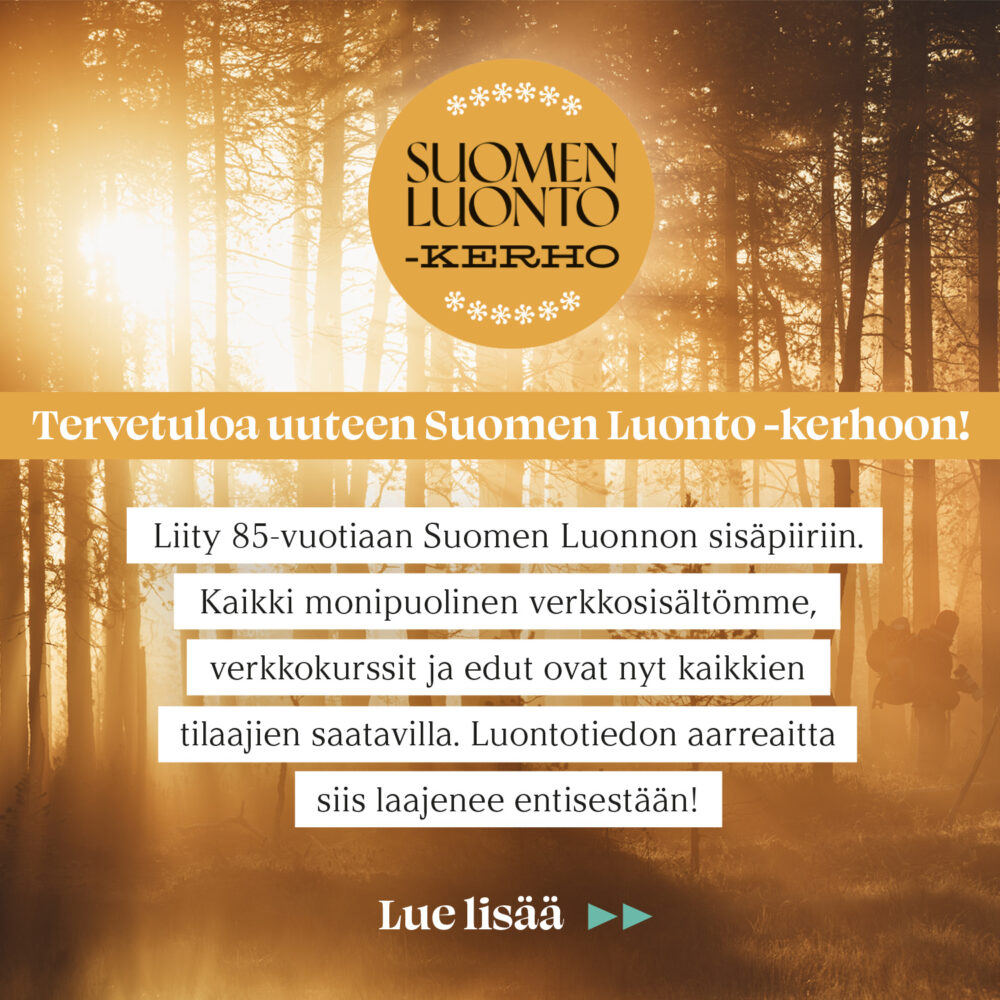 Klikkaa tästä tilaajien Suomen Luonto -kerhoon