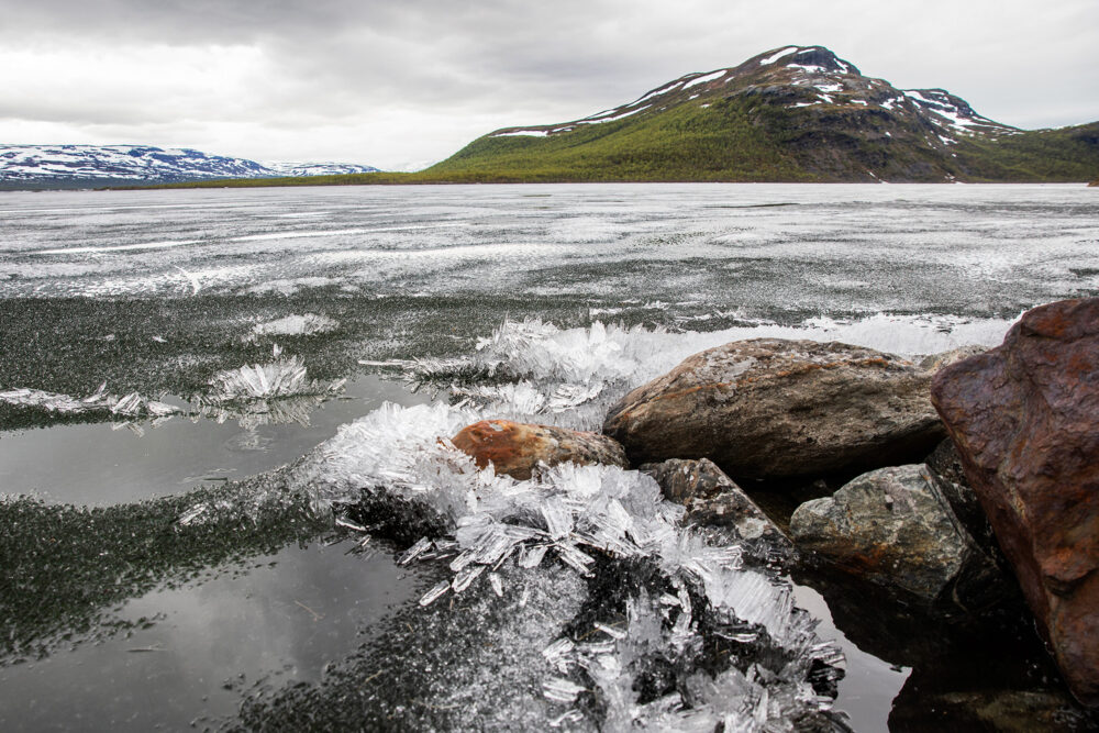 Kilpisjärven kiihkeä kevät