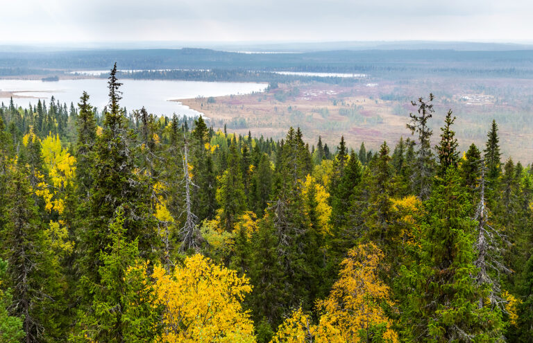 Närängänvaaran kolme aikaa
