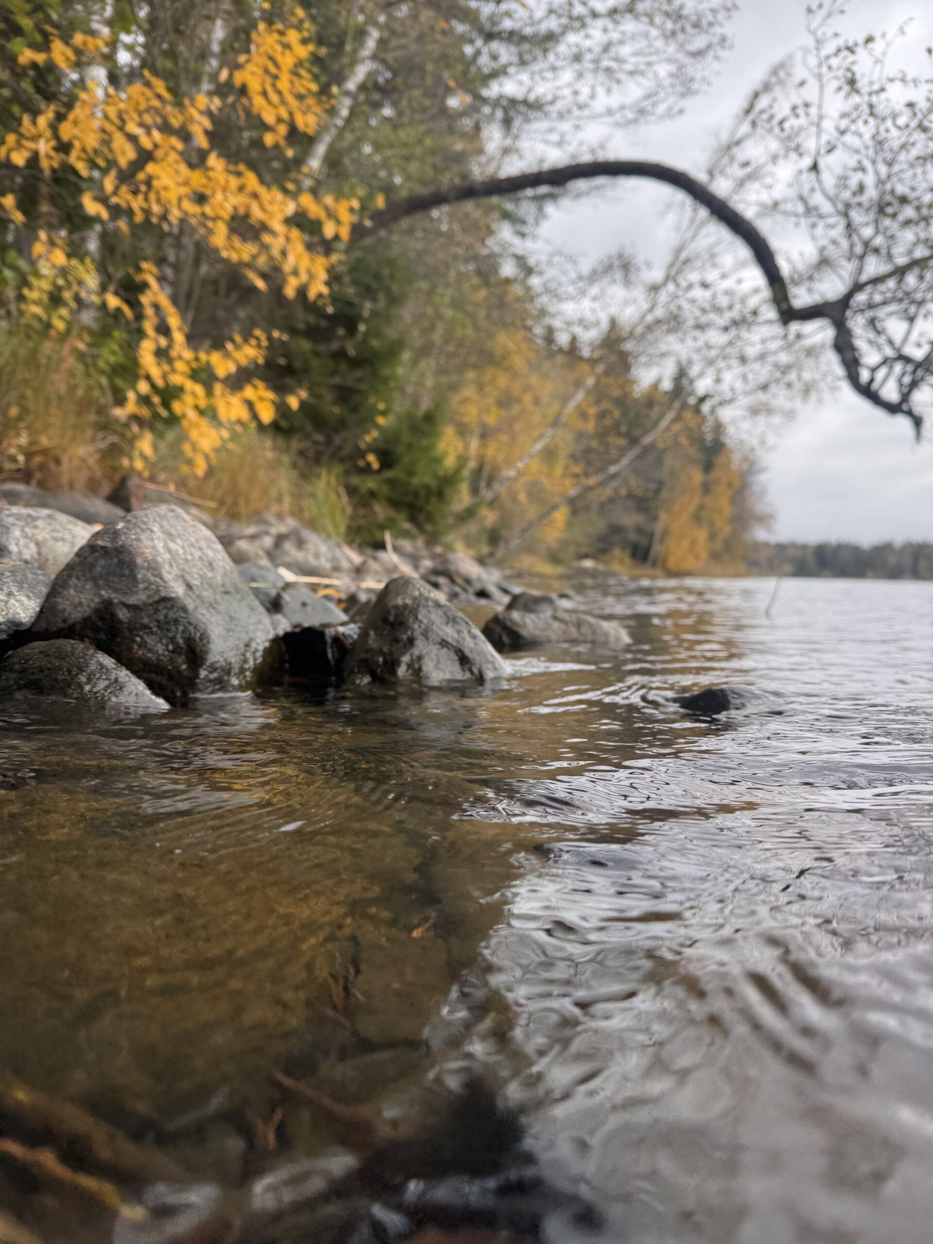 syksyinen järvi