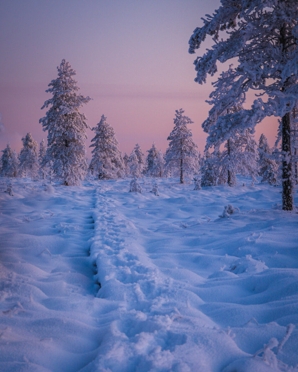 Jälkiä