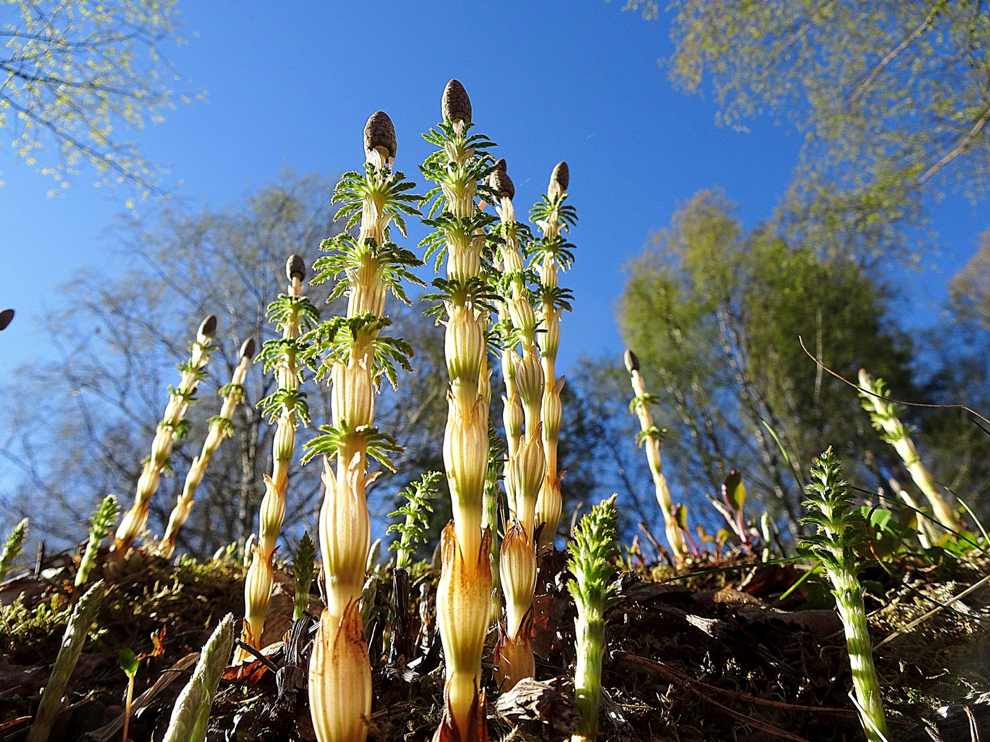 Valokuvaaja: Irja Lehtinen