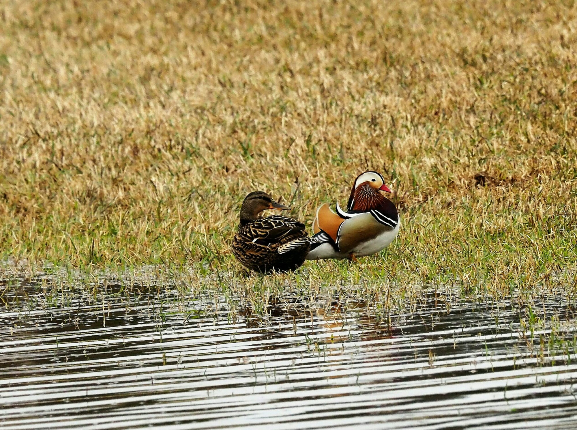 Valokuvaaja: Irma Mikkola Valokuvaaja: Irma Mikkola