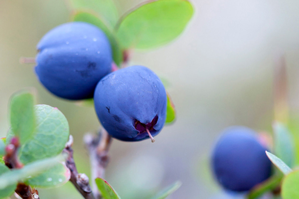 Valokuvaaja: John Doe