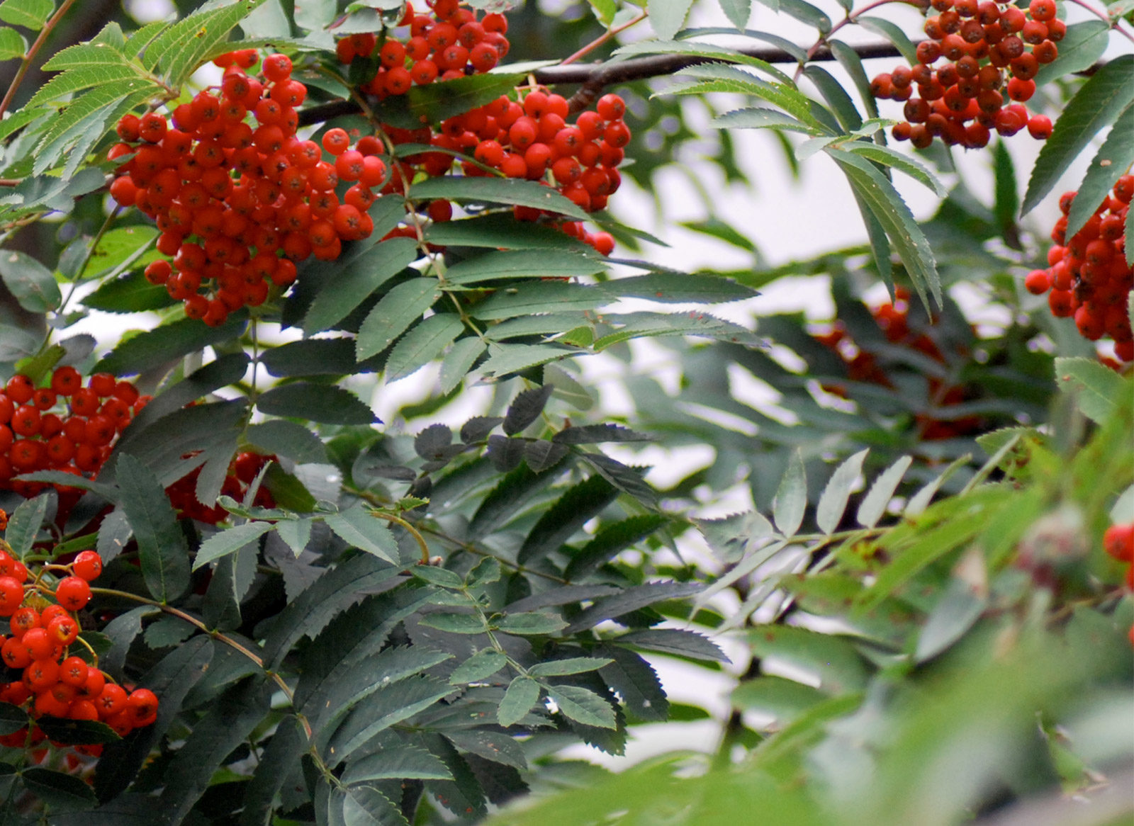 Valokuvaaja: John Doe