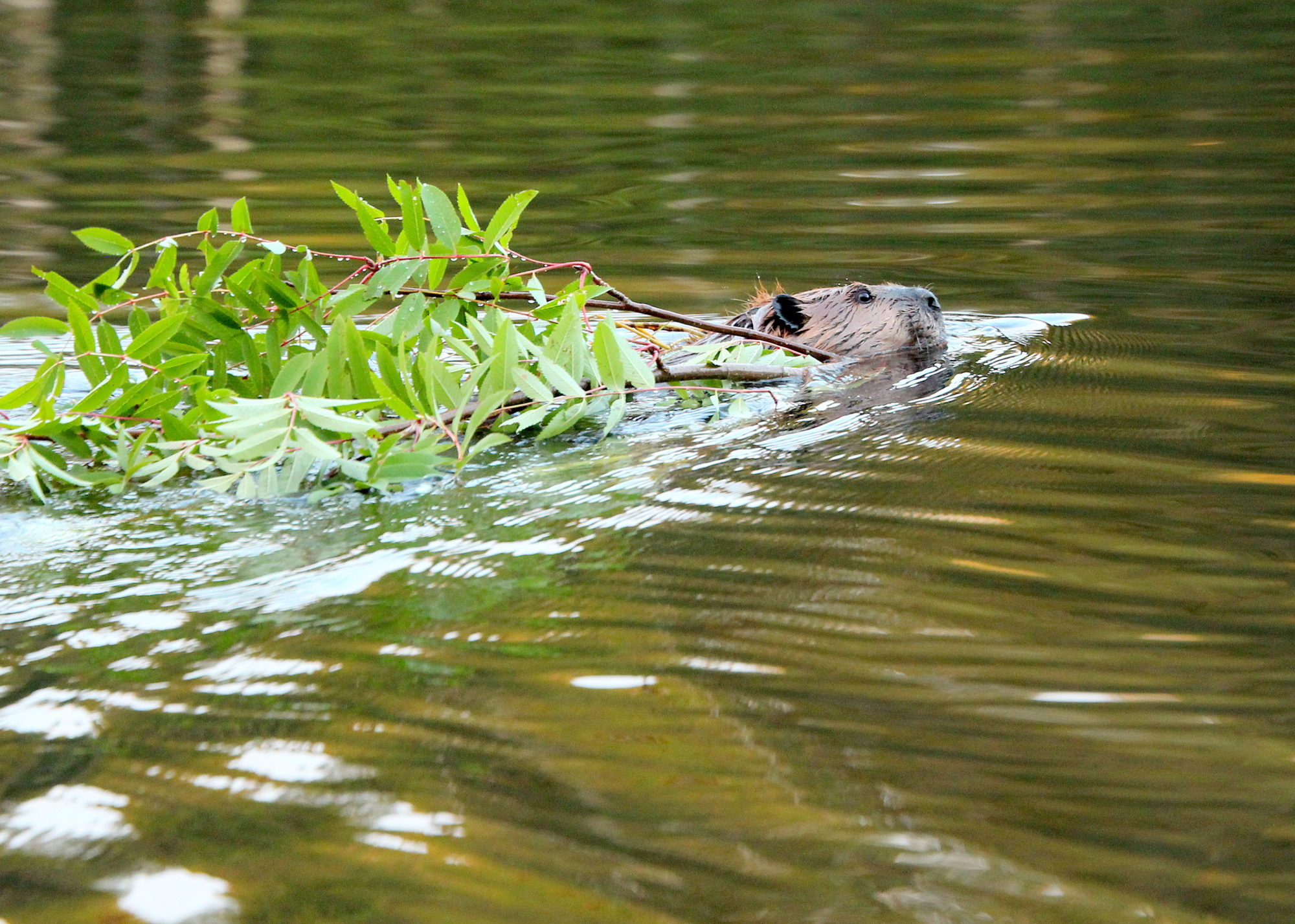 Valokuvaaja: sirpa Jyske Valokuvaaja: sirpa Jyske
