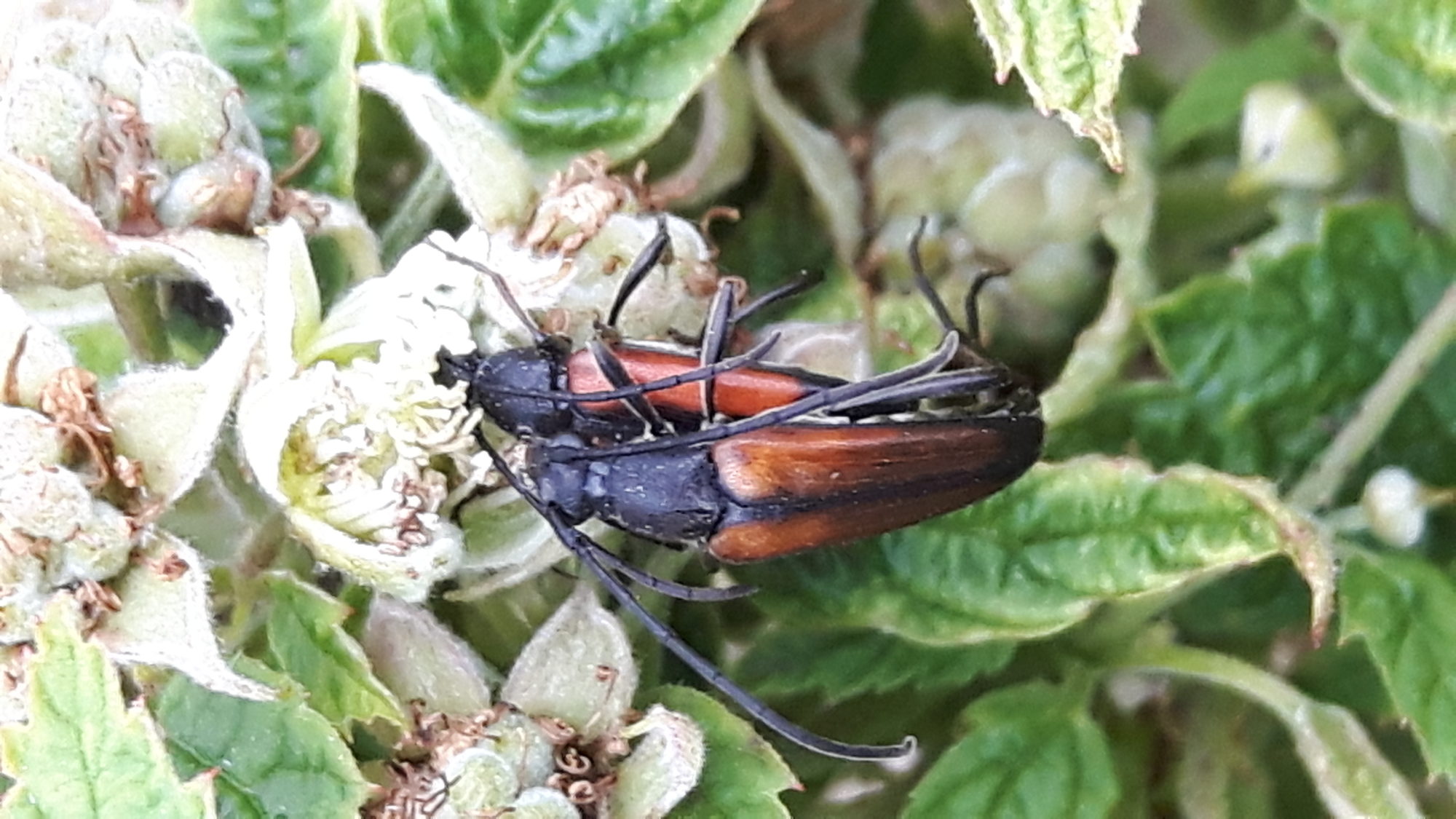 Valokuvaaja: Oili Paakeli-Pirinen