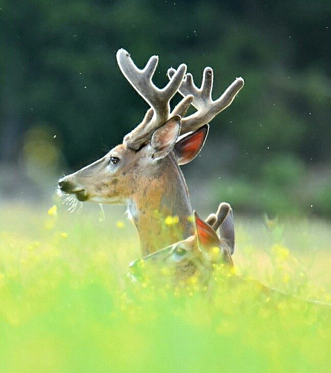 Valokuvaaja: Milja Pakkala
