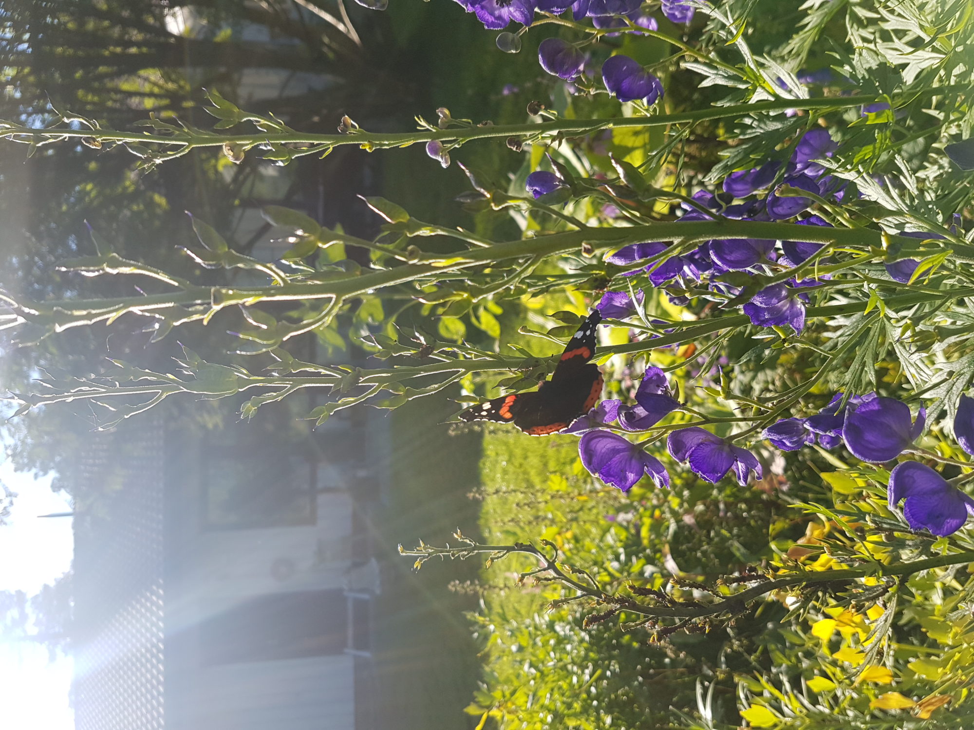 Valokuvaaja: Matti Kassala