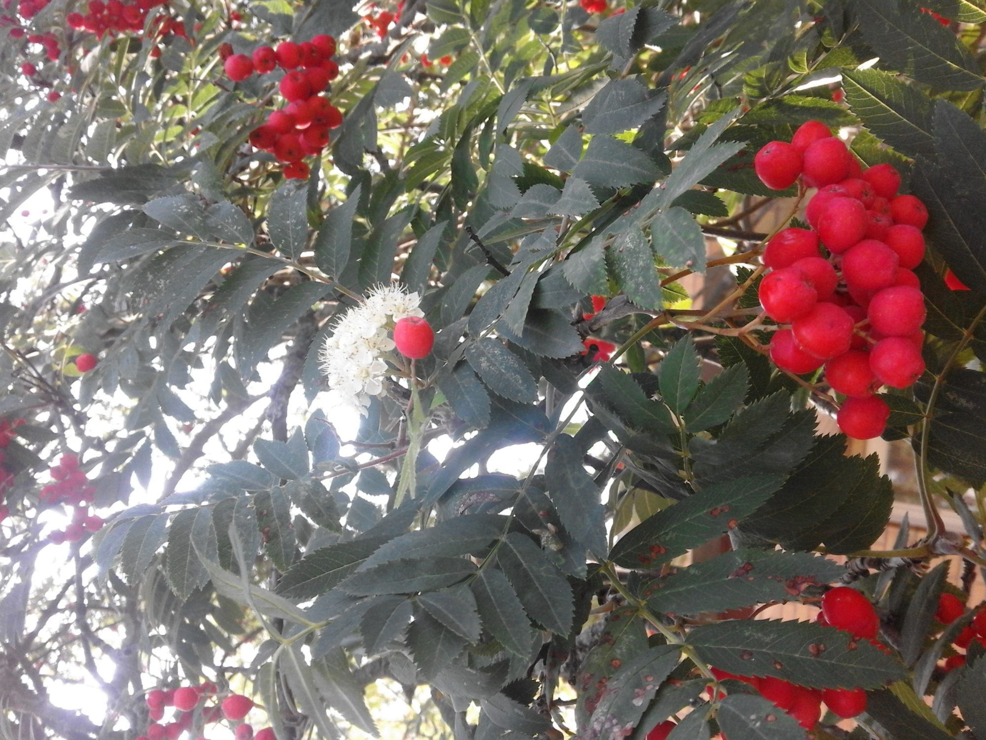 Valokuvaaja: Maria Kuortti-Katris