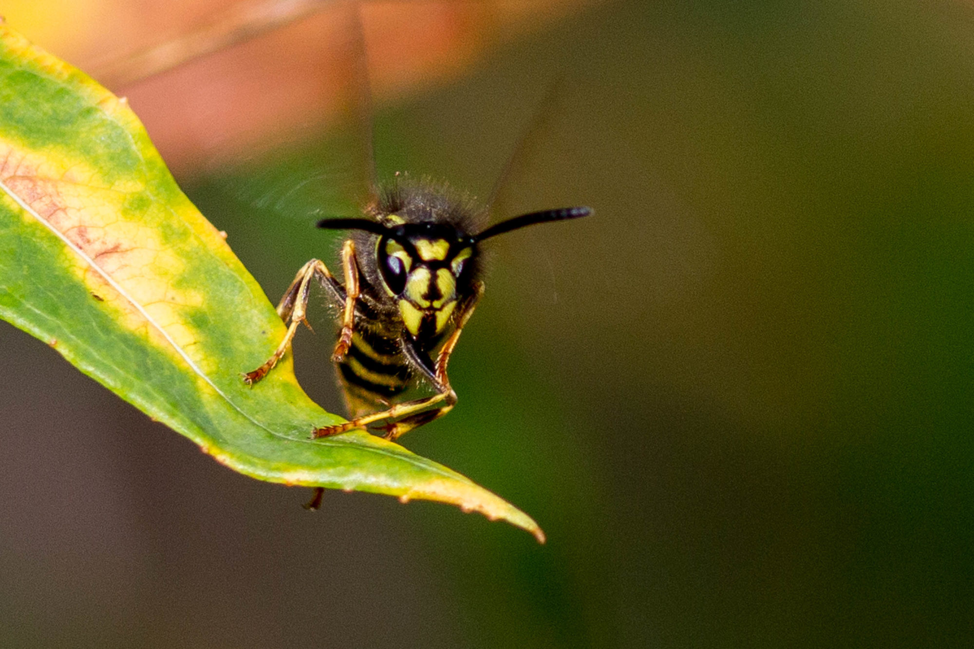 Valokuvaaja: Markku Salonen