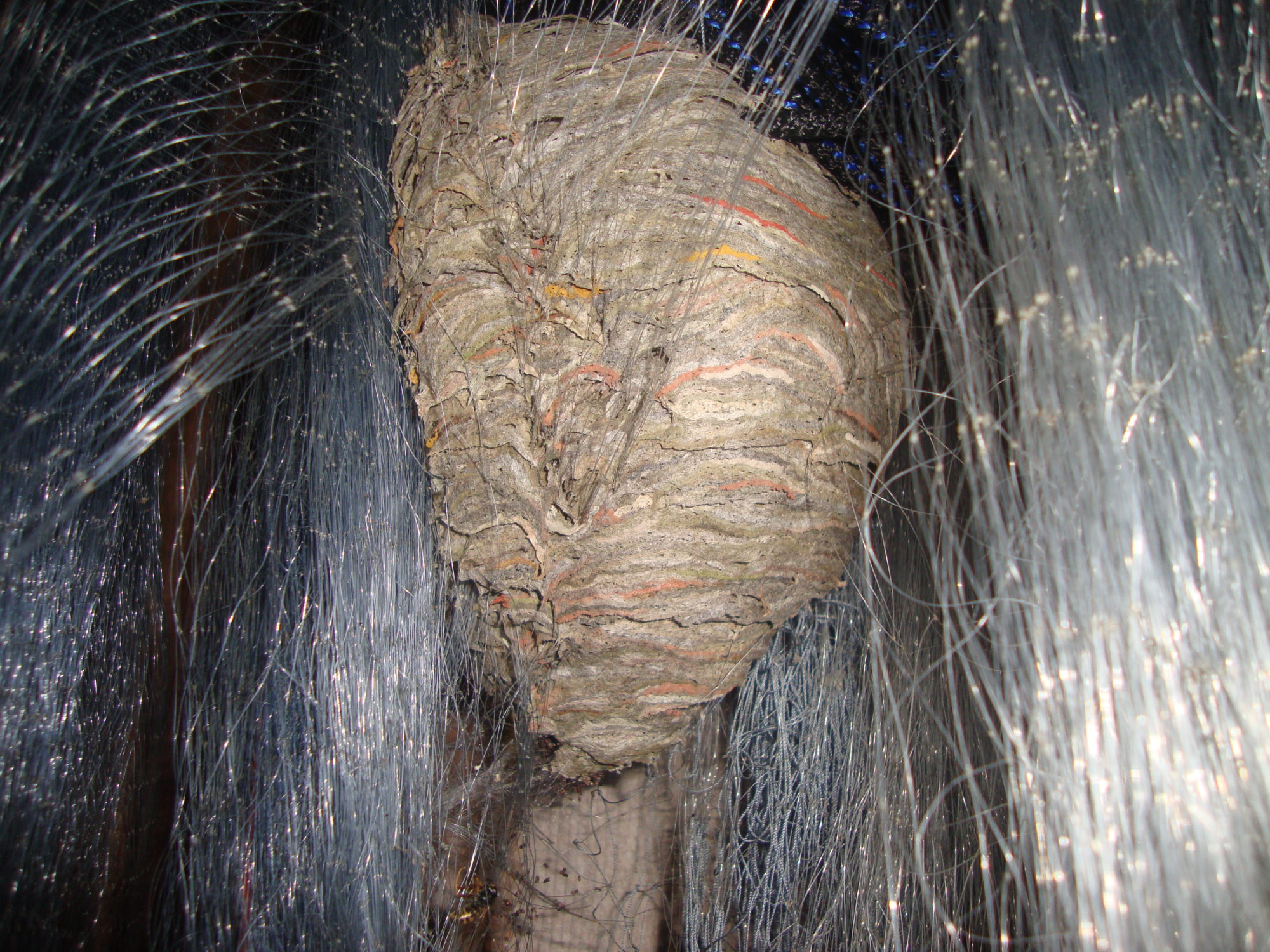 Valokuvaaja: Anja Mustamaa