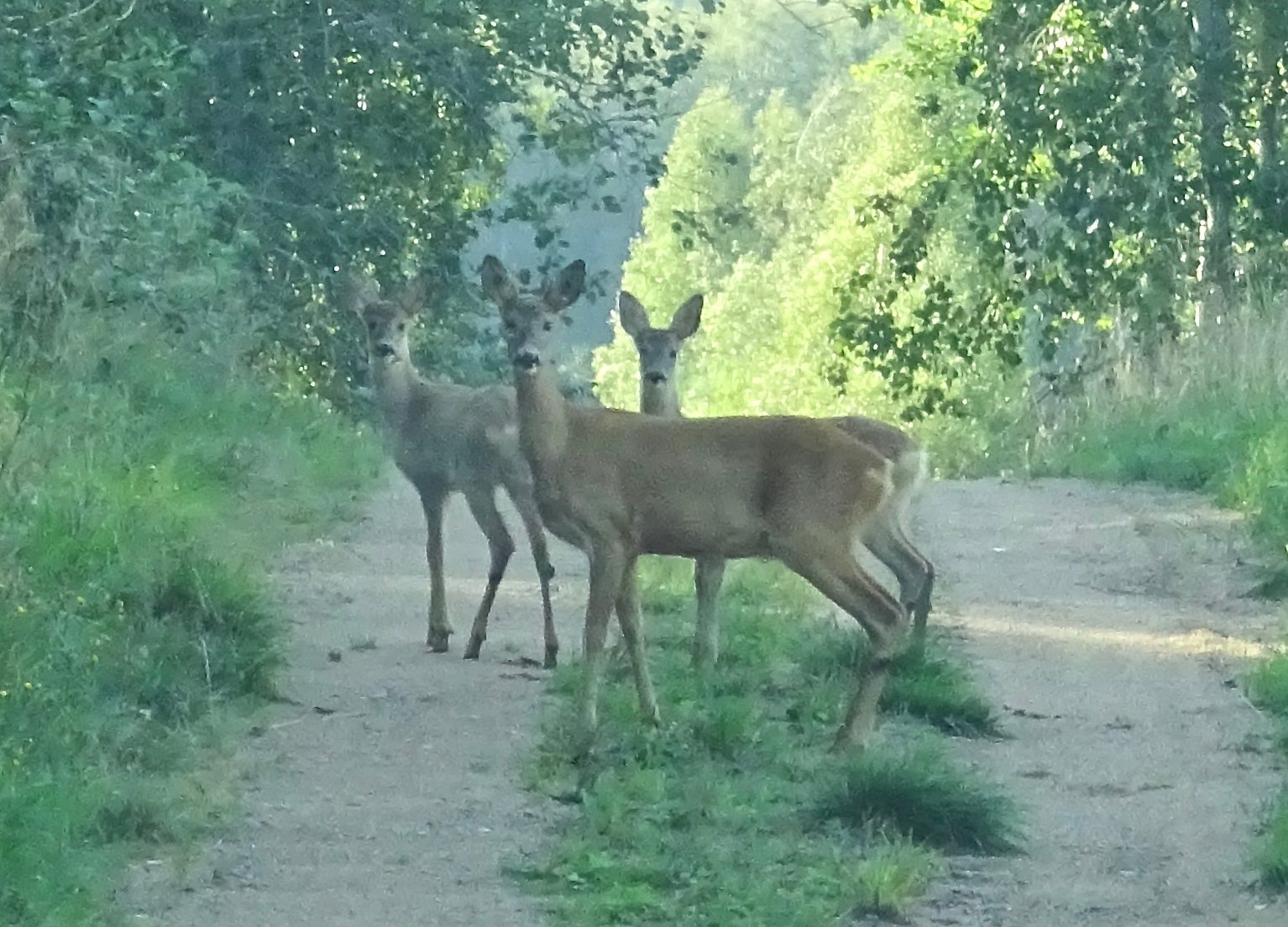 Valokuvaaja: Liisa Niiva-Korpela