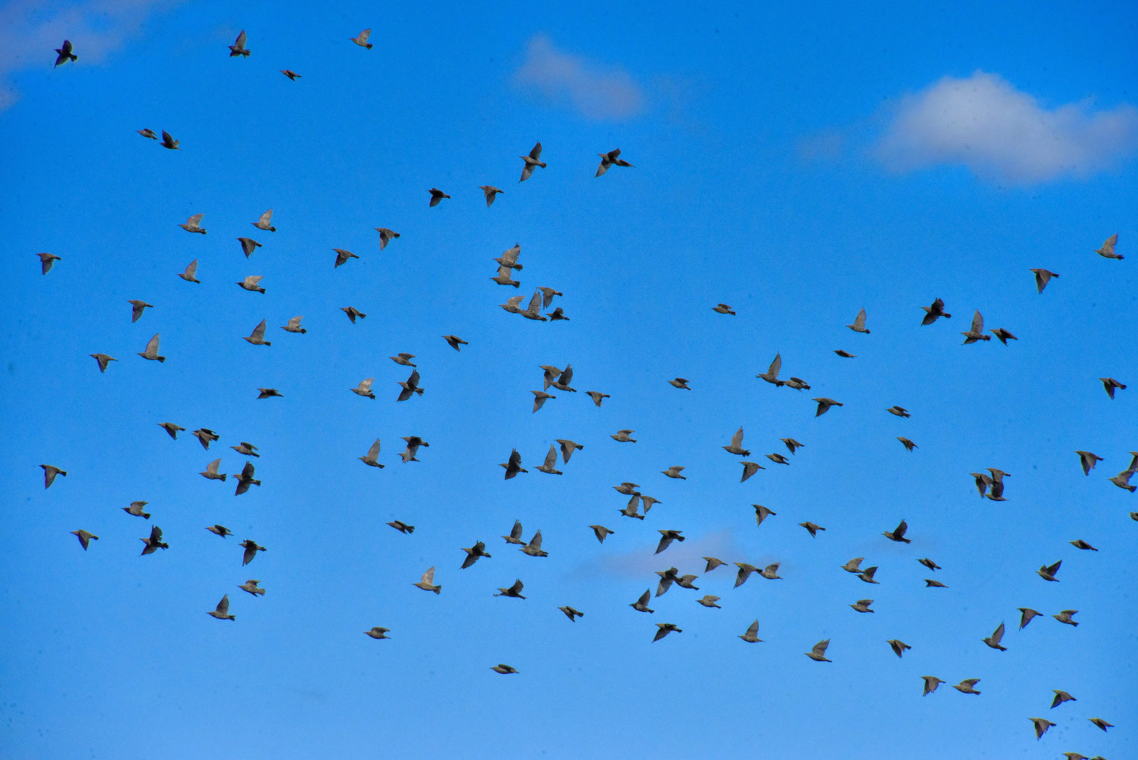 Valokuvaaja: Reijo Juurinen