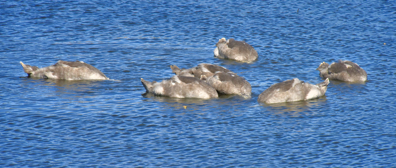 Valokuvaaja: Reijo Juurinen