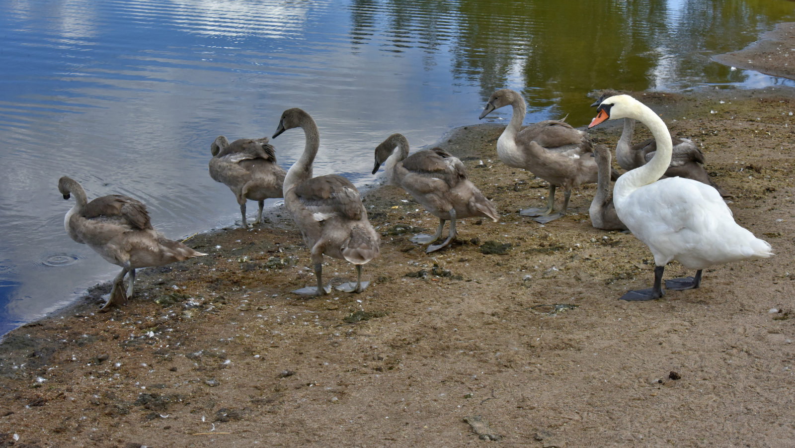 Valokuvaaja: Reijo Juurinen