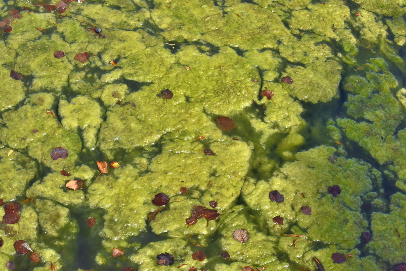 Valokuvaaja: Reijo Juurinen