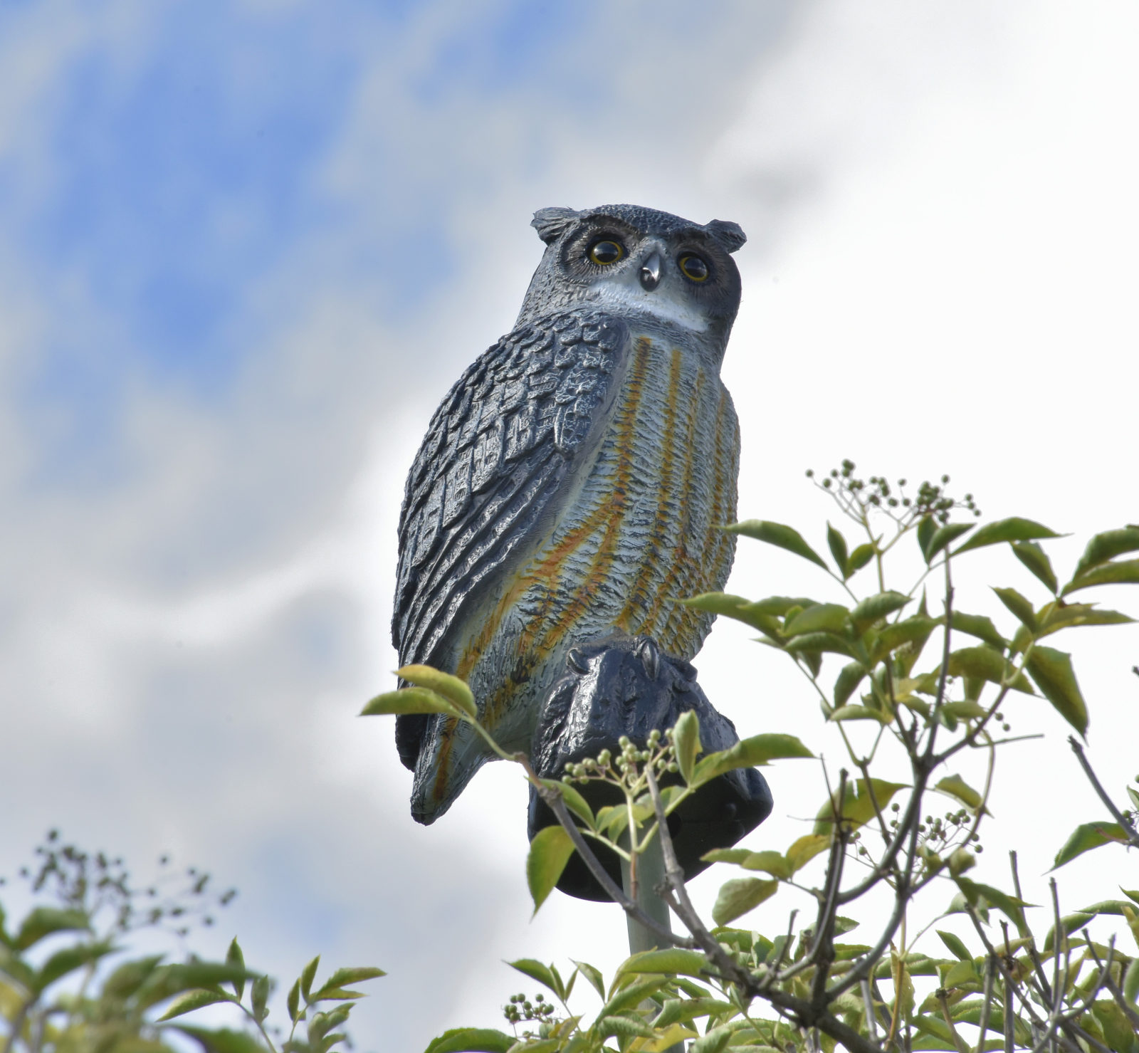 Valokuvaaja: Reijo Juurinen