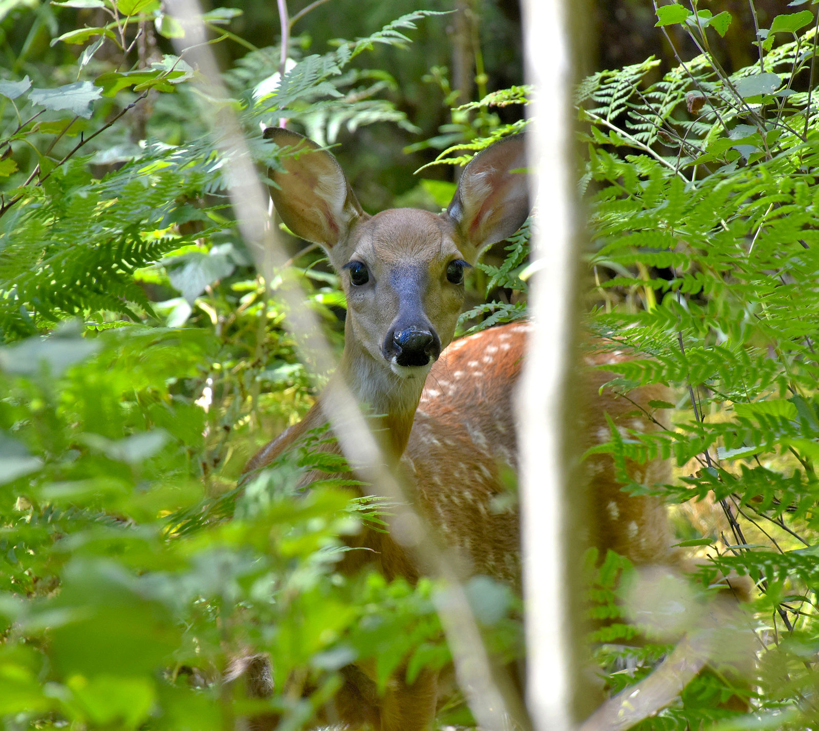 Valokuvaaja: Reijo Juurinen
