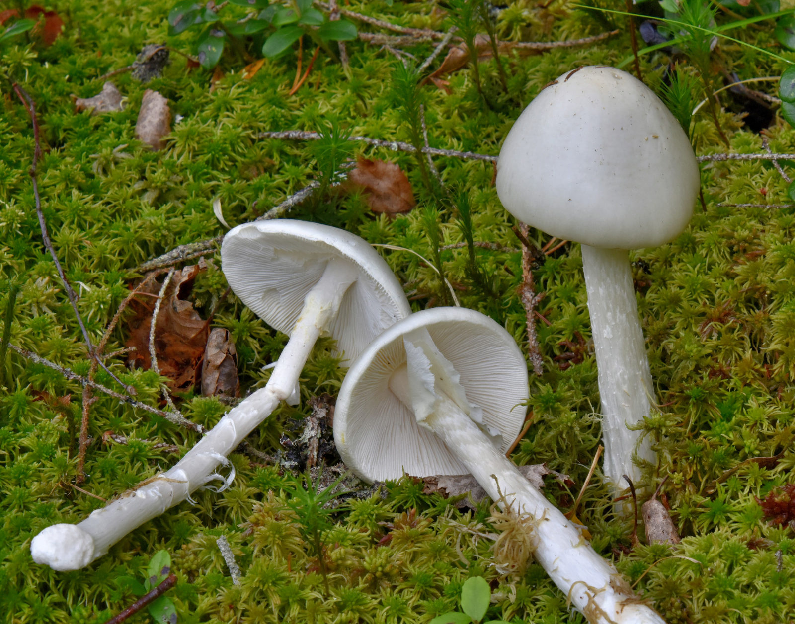 Valokuvaaja: Reijo Juurinen