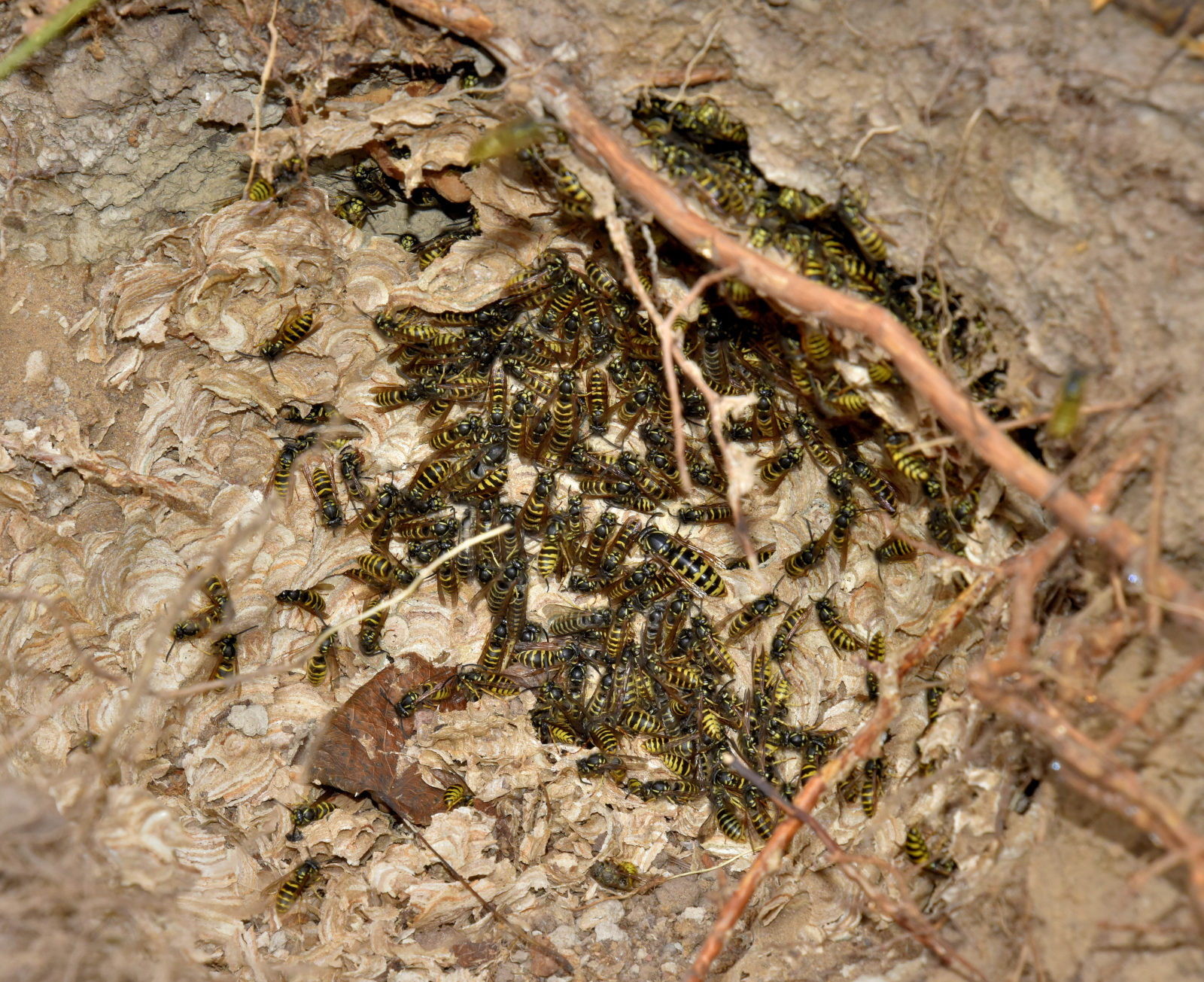 Valokuvaaja: Reijo Juurinen